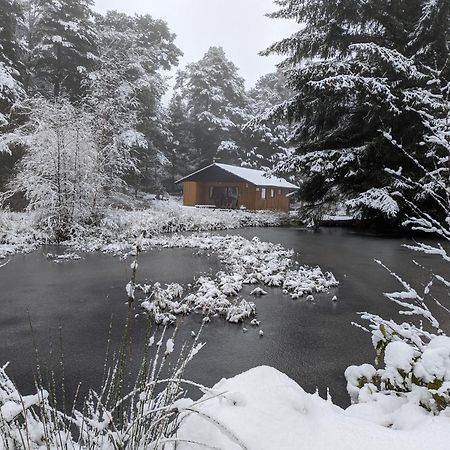 Reuben'S Highland Retreat - Speyside Villa Carrbridge Luaran gambar